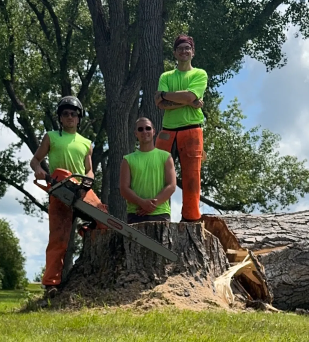 Three tree workers pose near a tree stump. One holds a chainsaw, all wear safety gear.