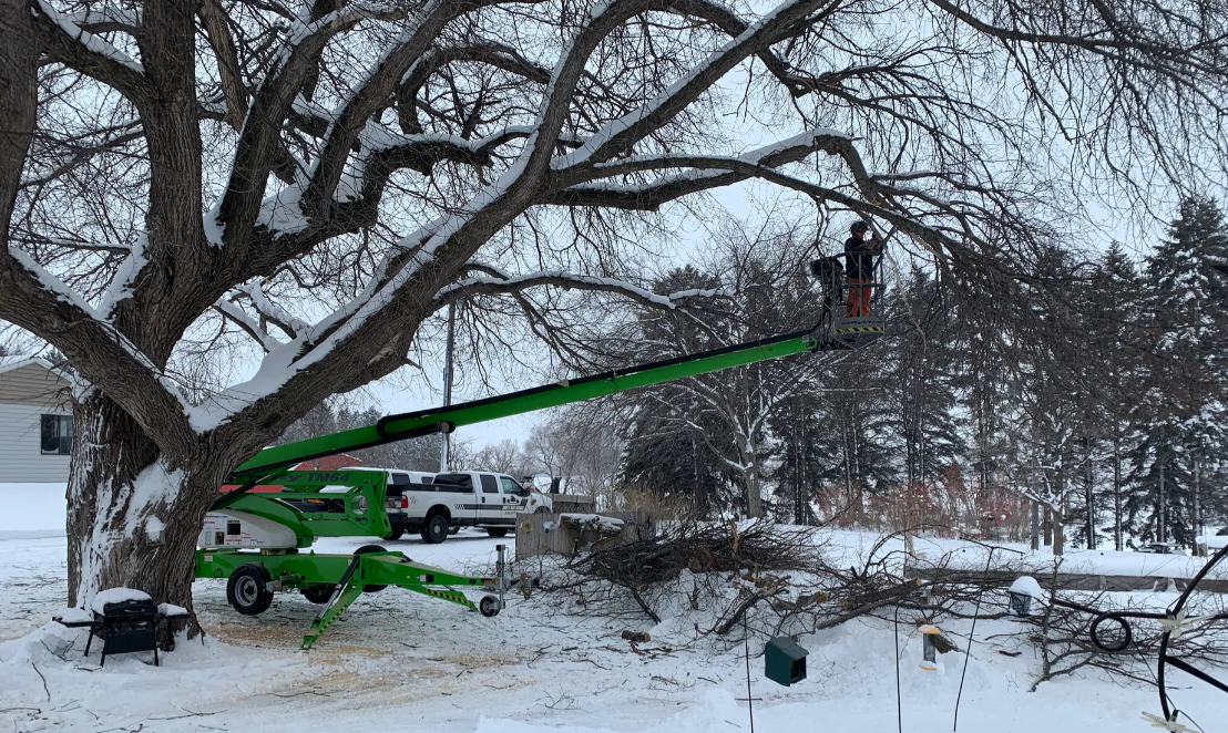 Green lift truck trimming a large tree in a snowy yard.