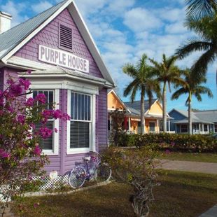 purple house in punta gorda florida