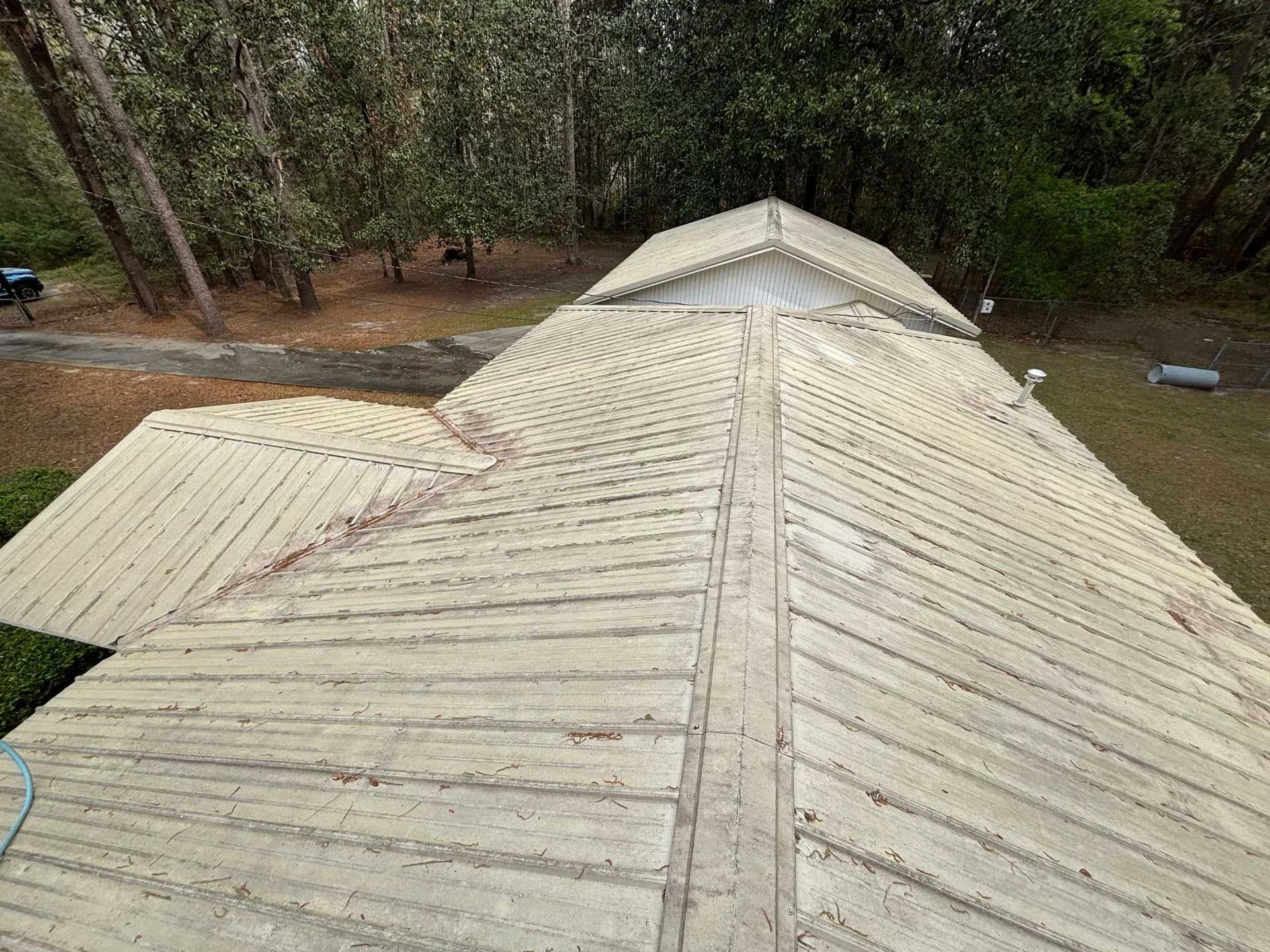 Tan corrugated metal roof with red debris, trees in the background.