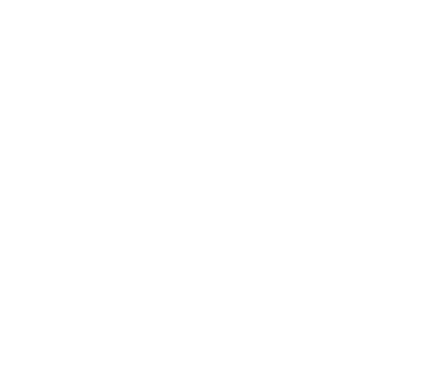 Autolink Repair Services - Auto Repair in Garden Grove Ca - logo