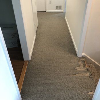 A hallway with a carpeted floor and white walls.