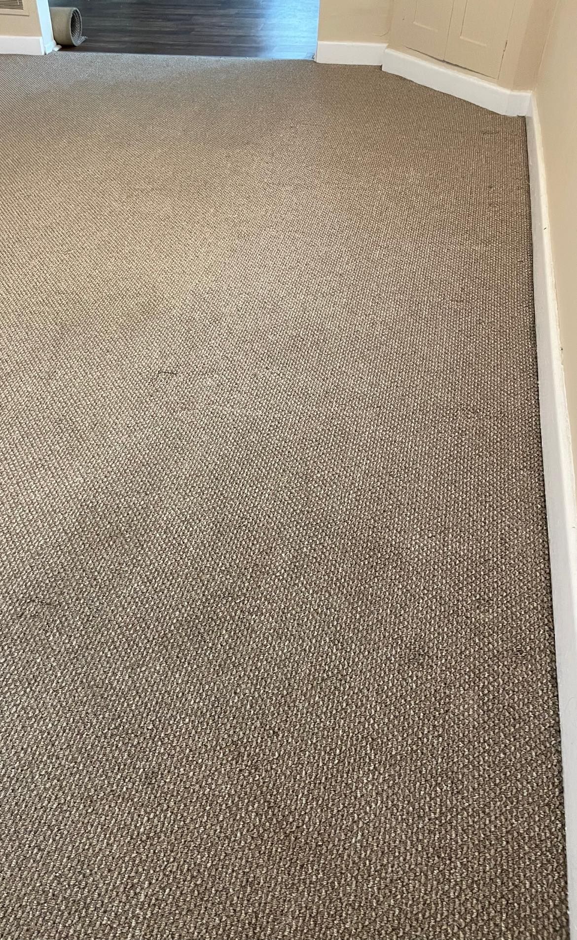 A close up of a carpeted floor in a room.