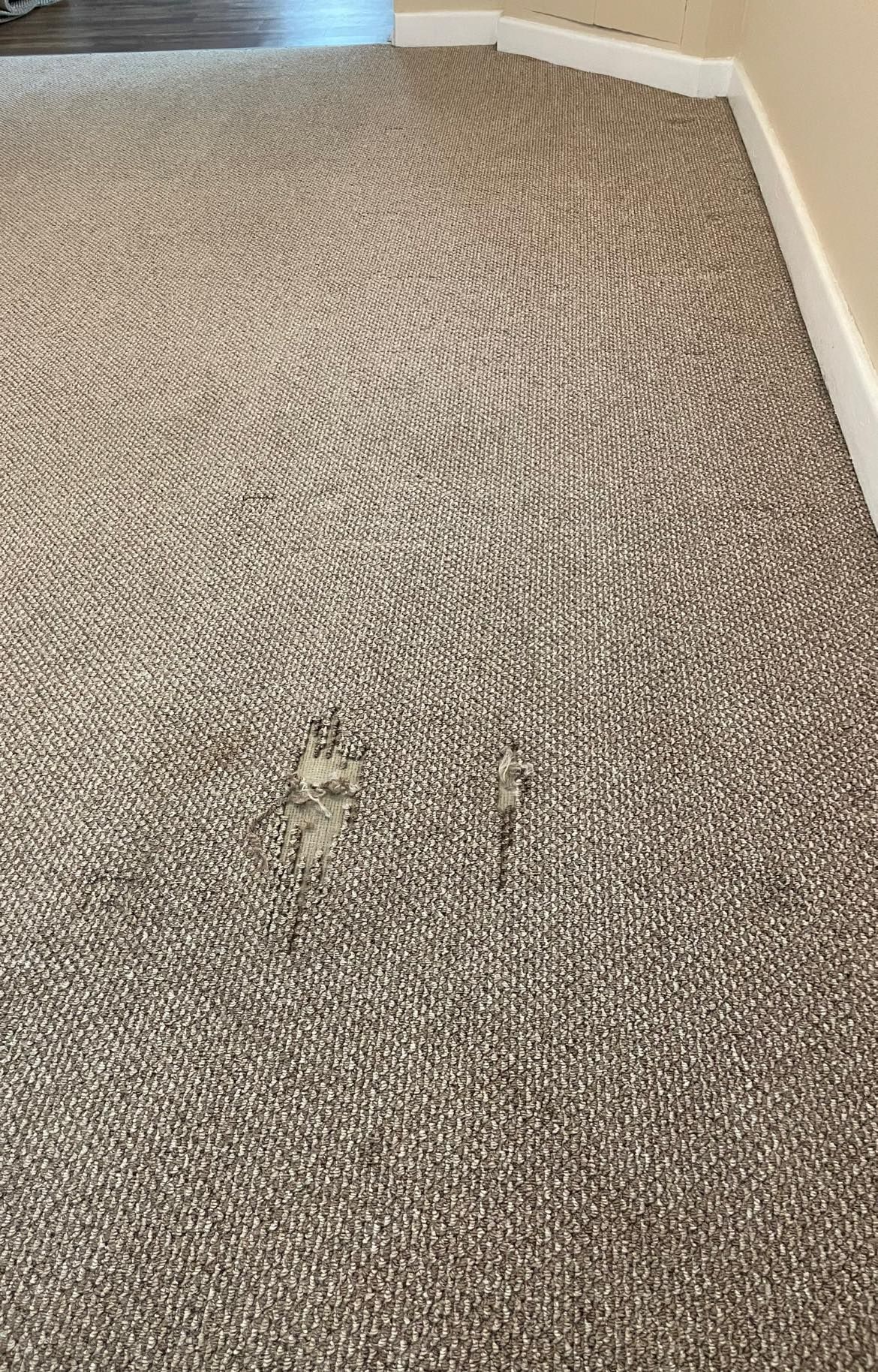 A close up of a carpeted floor in a room.