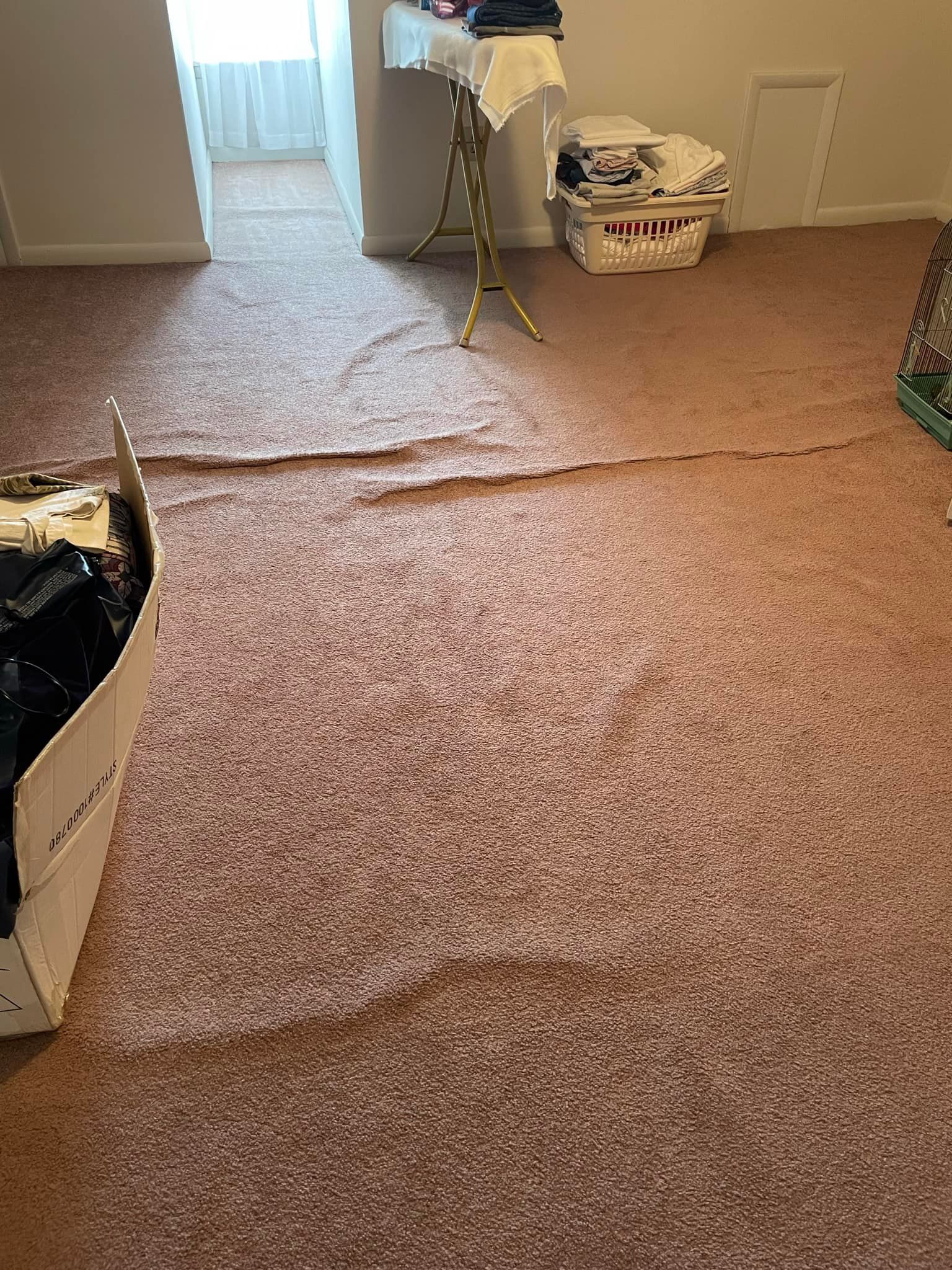 A room with a carpet and a laundry basket on the floor.