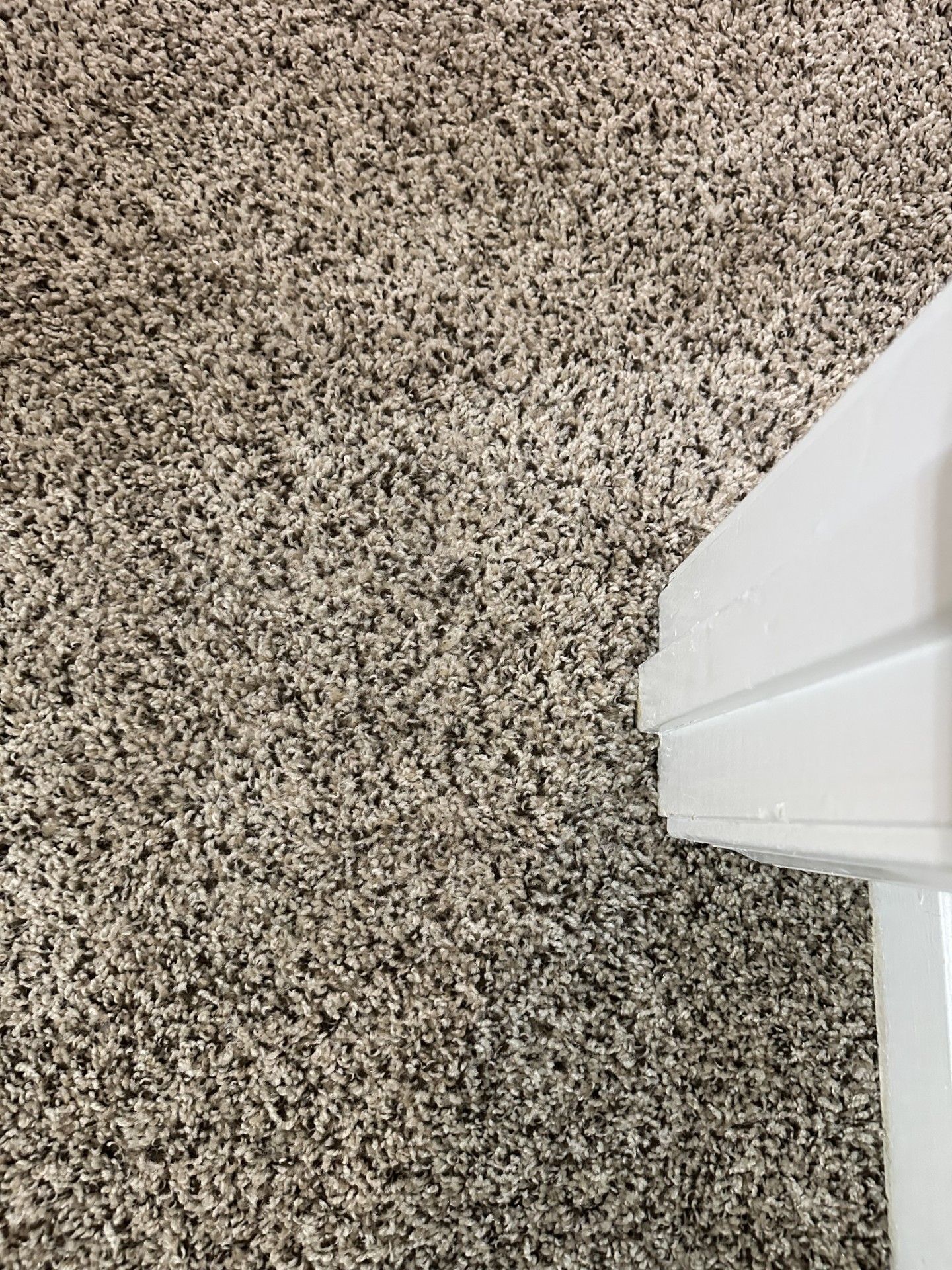 close-up of repaired beige and black carpet