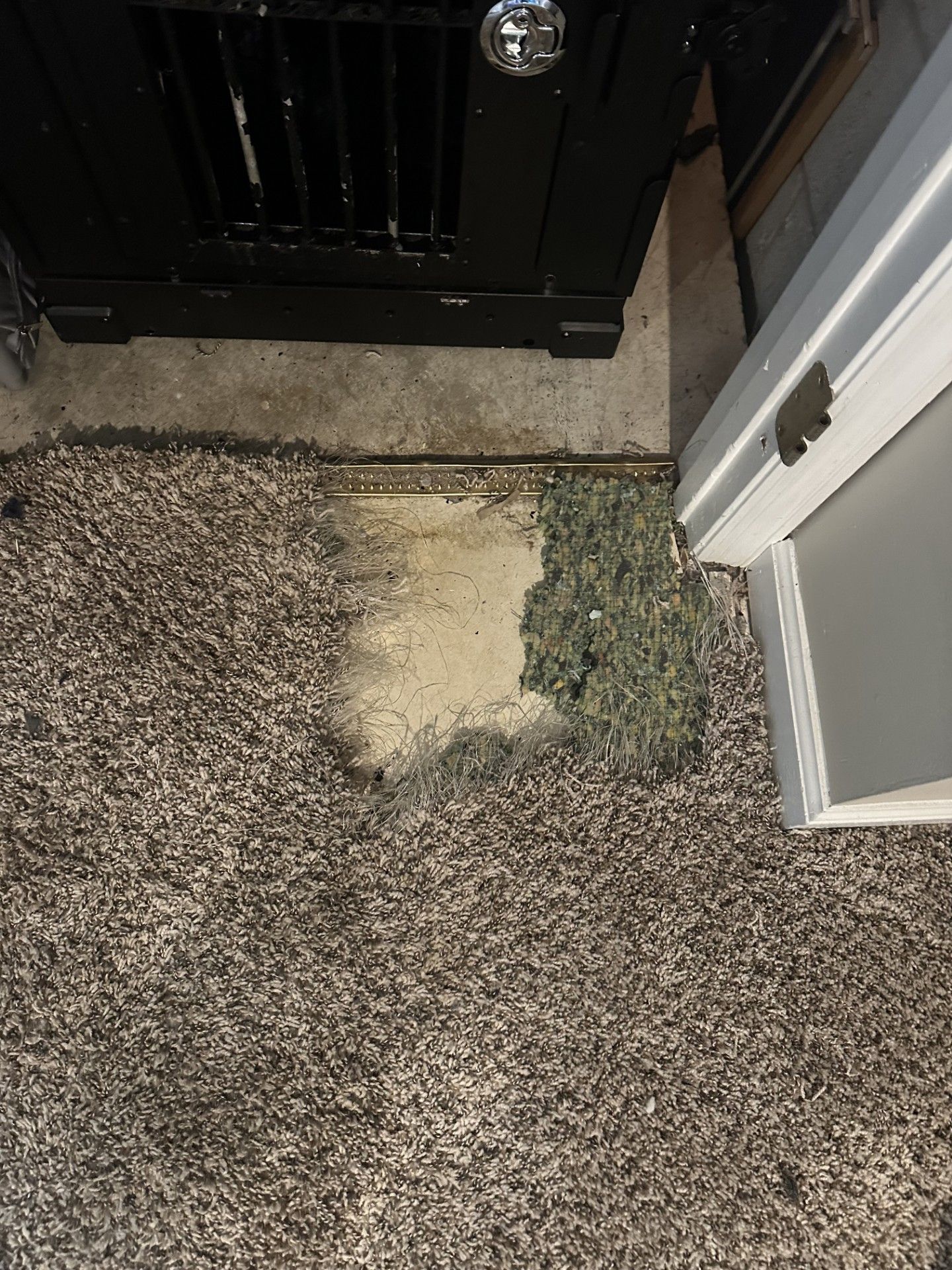 damaged carpet next to a doorway