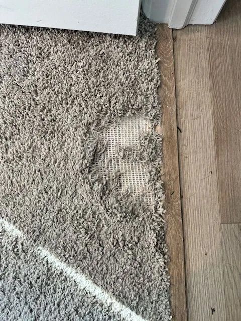 a damaged gray rug with exposed backing