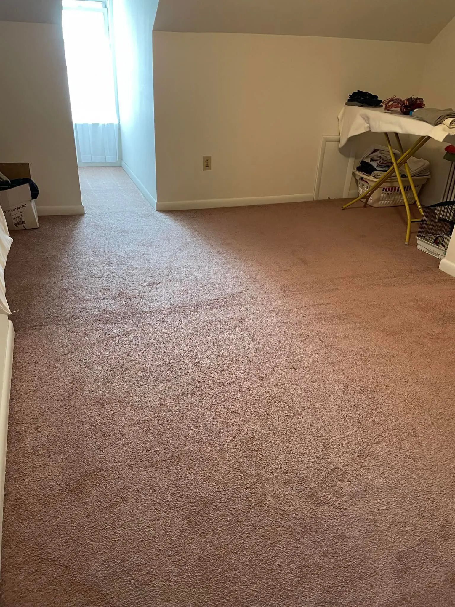 pink carpeted room with natural light from a doorway