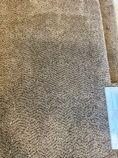 a close-up of a beige carpet without the small, white fluffy spot