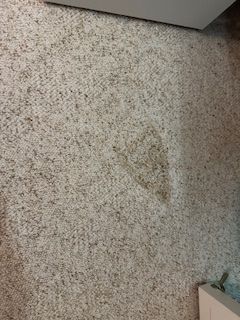 a light-colored carpet with a prominent, darker-colored, triangular stain