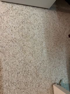 a light-colored carpet without the triangular stain