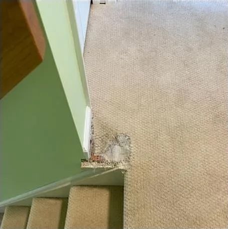 damaged tan carpet by the stairs, next to a green wall and doorway