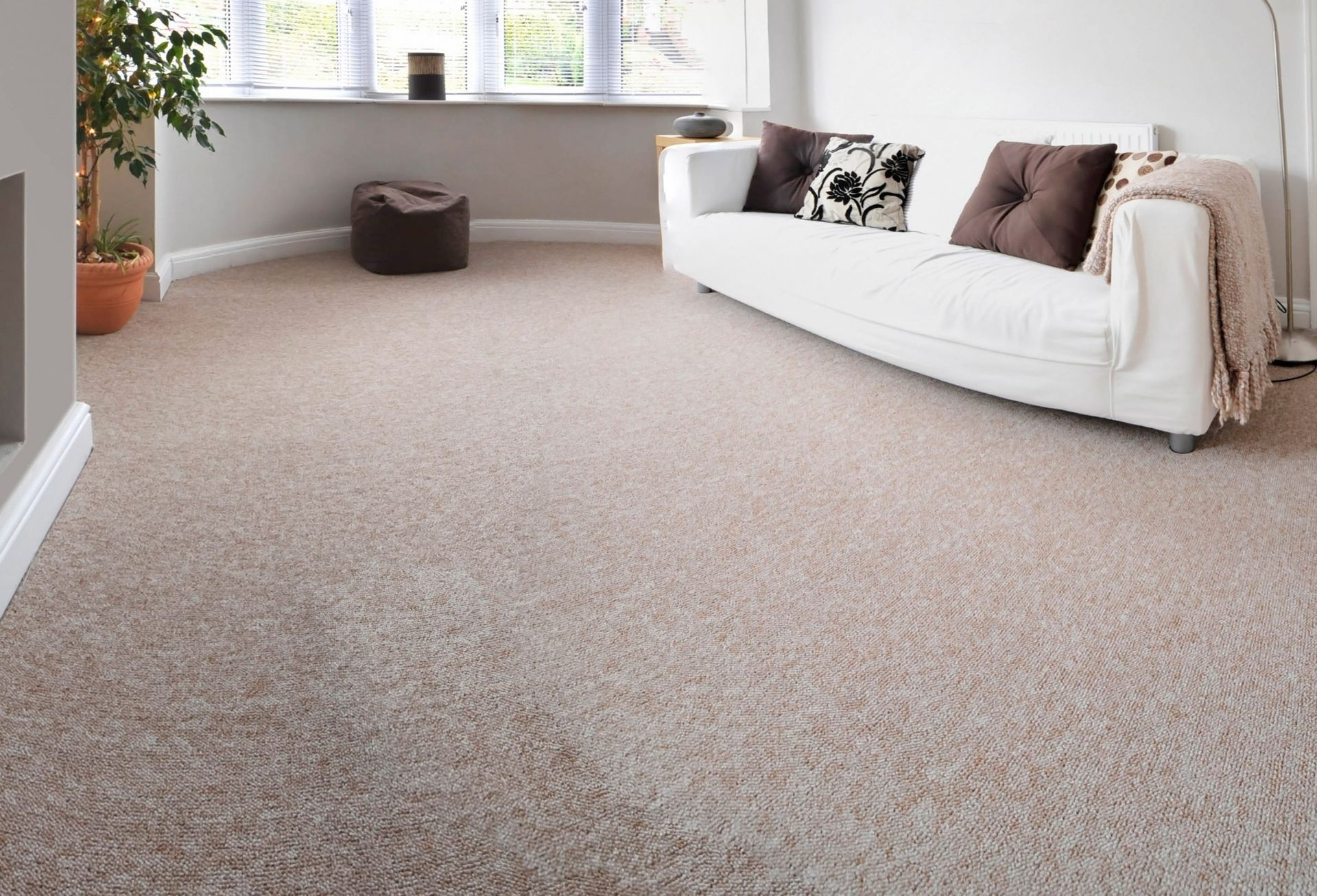 The carpet repair guy