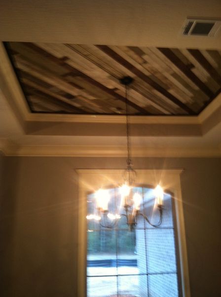 refuge 3 house celing