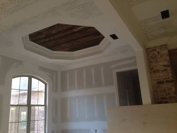 tww 6 house ceiling