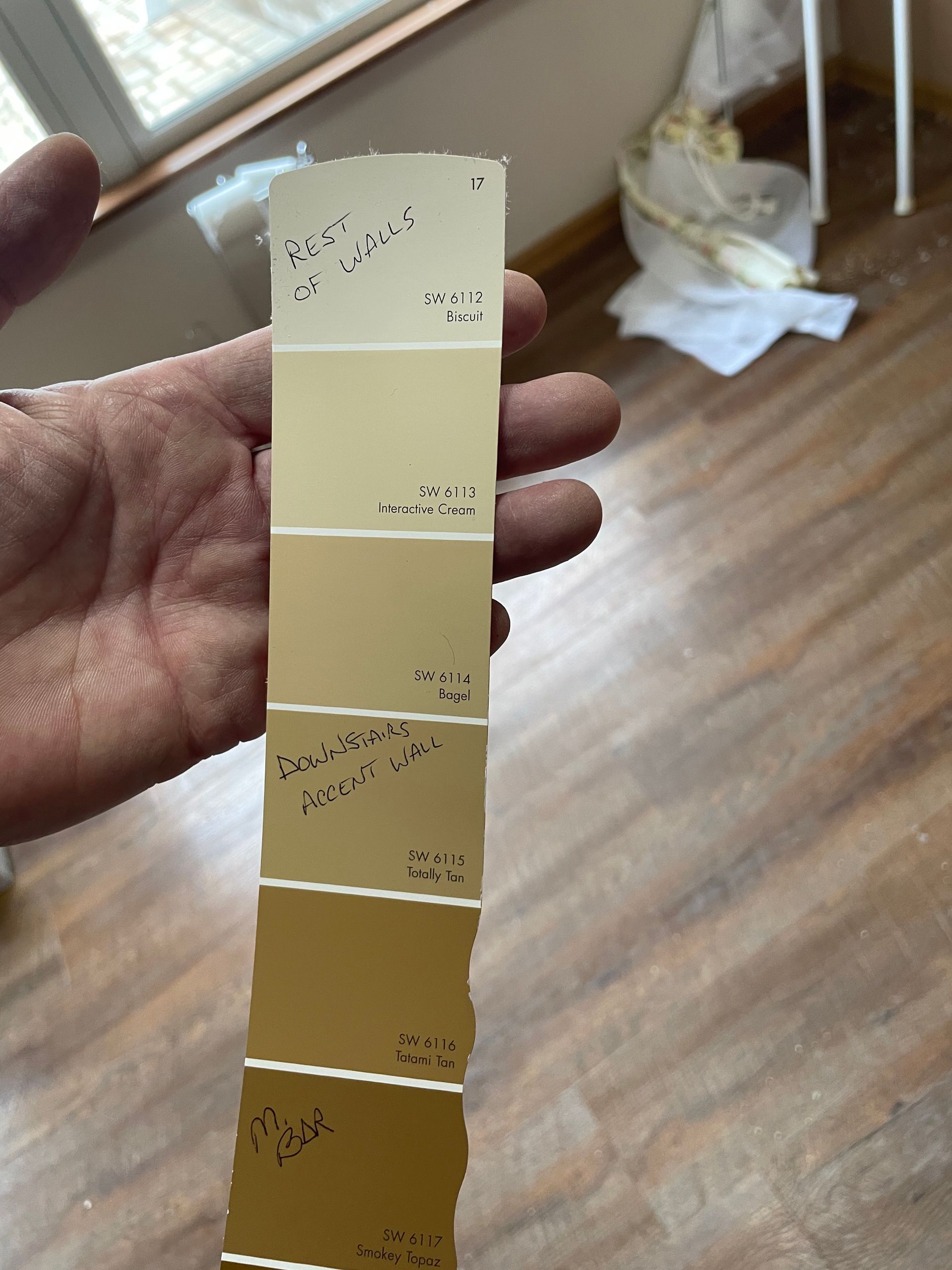 Hand holding a strip of five beige-to-brown color swatches with small black markings indoors