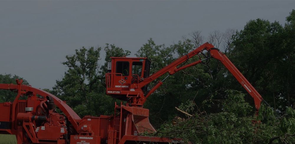 Clean Cut Tree Service, Inc