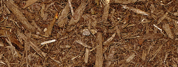 Clean Cut Tree Service, Inc