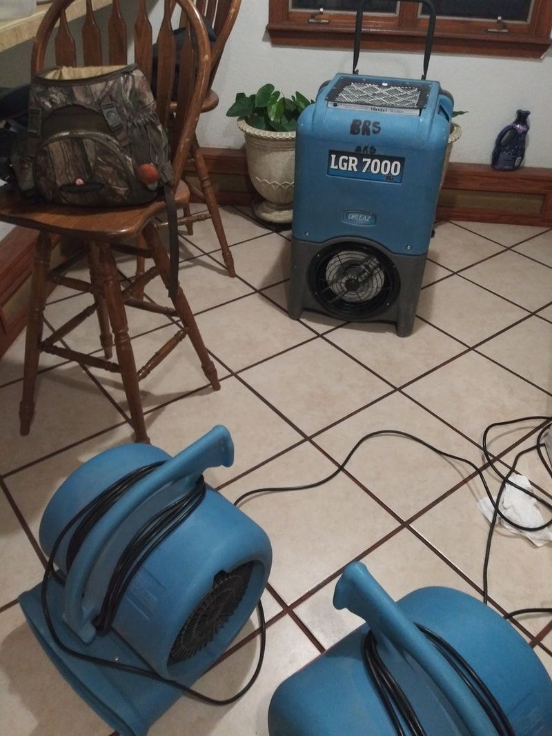 Restoration and clean up services