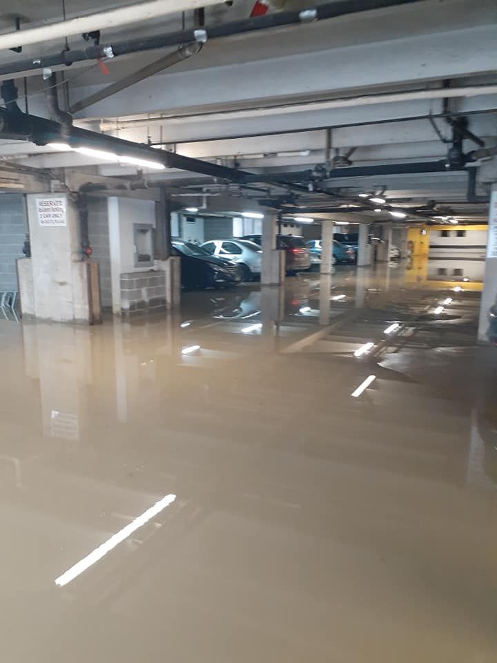 Property restoration and clean up