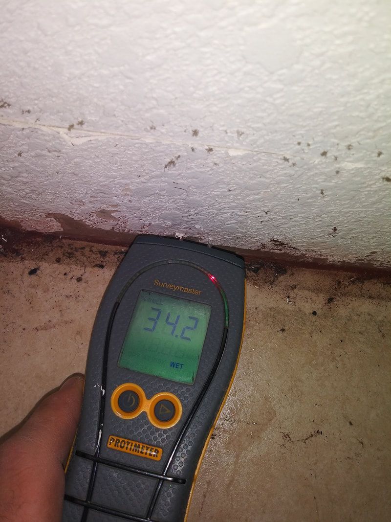 Restoration and clean up services