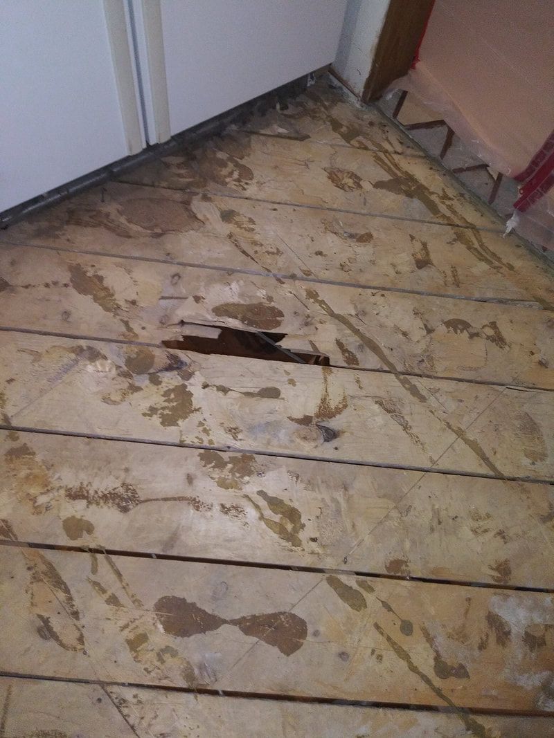 Restoration and clean up services