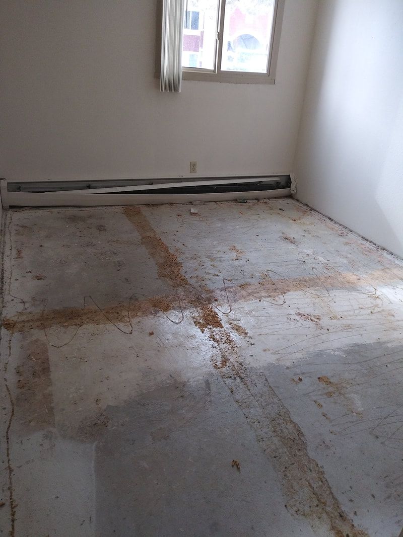 Restoration and clean up services