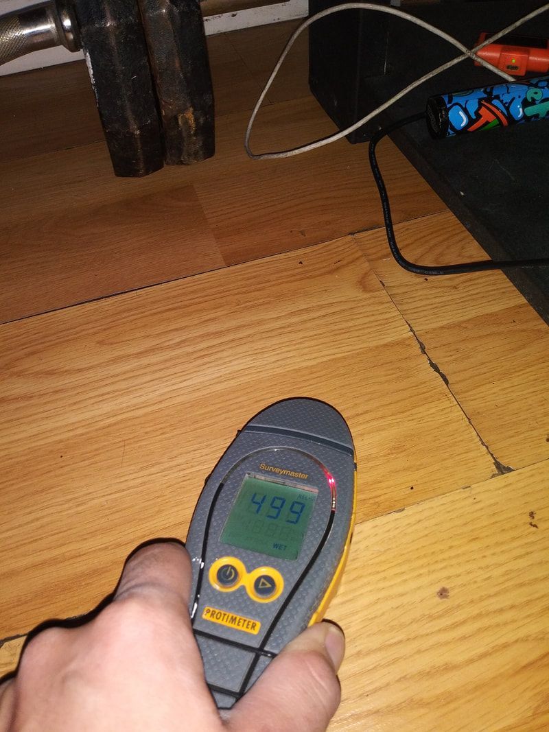 Restoration and clean up services