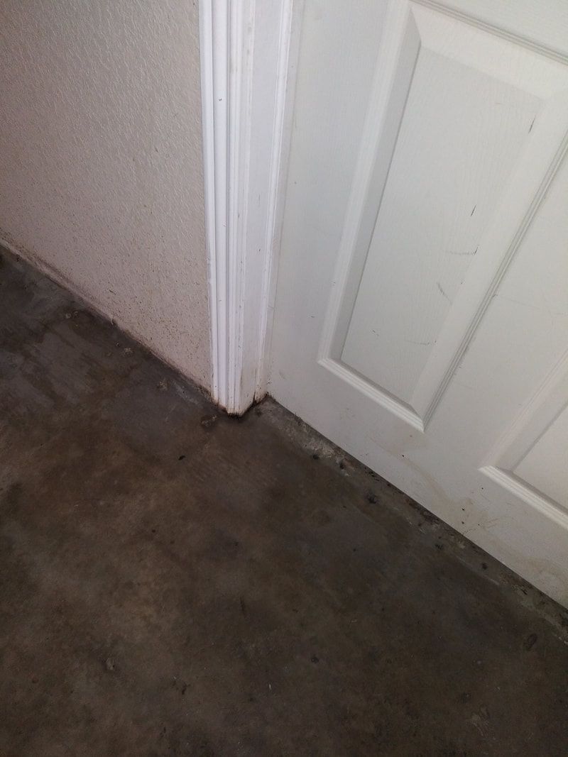 Restoration and clean up services