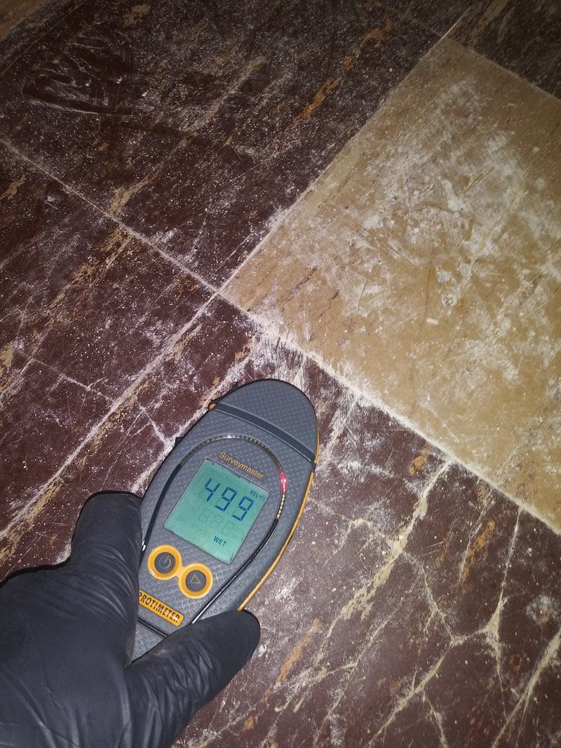 Restoration and clean up services