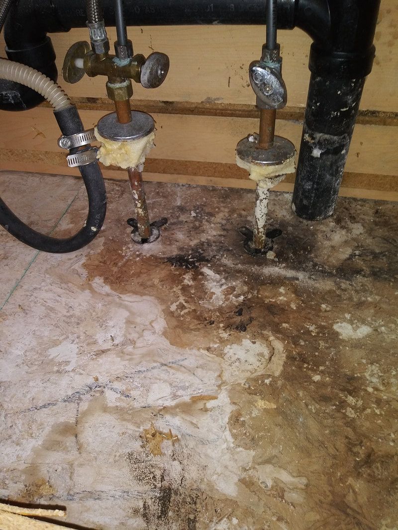 Restoration and clean up services