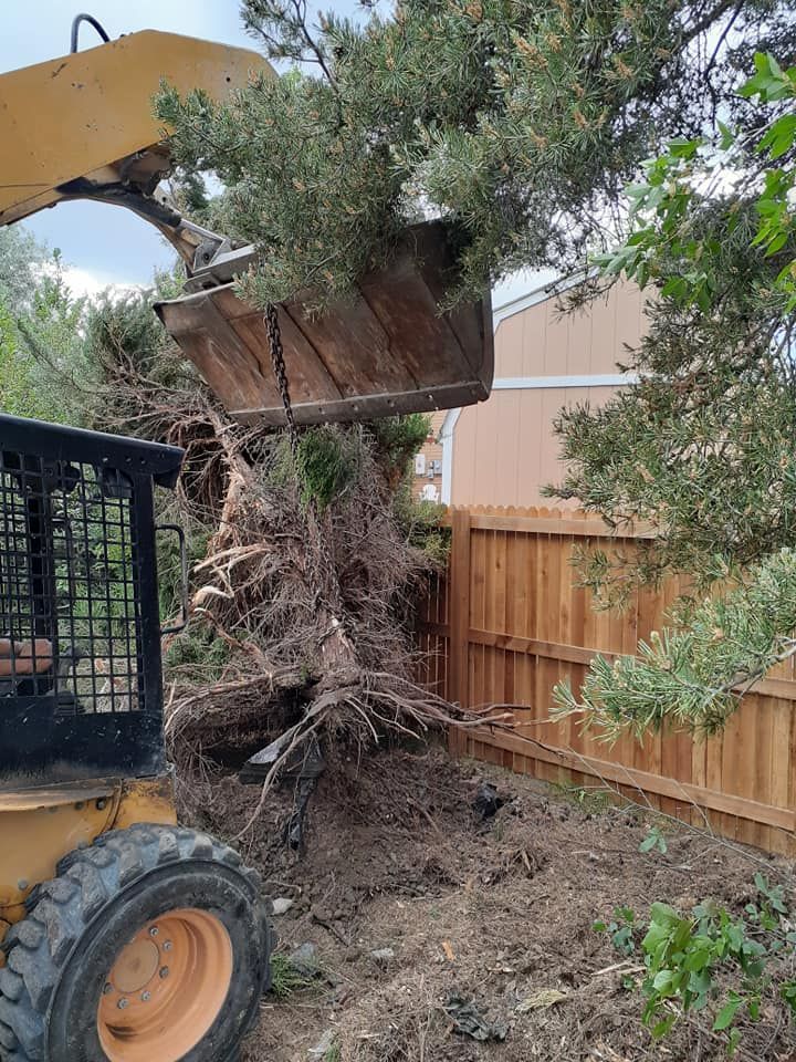 Property restoration and clean up