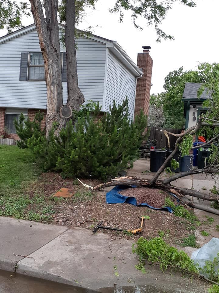 Property restoration and clean up