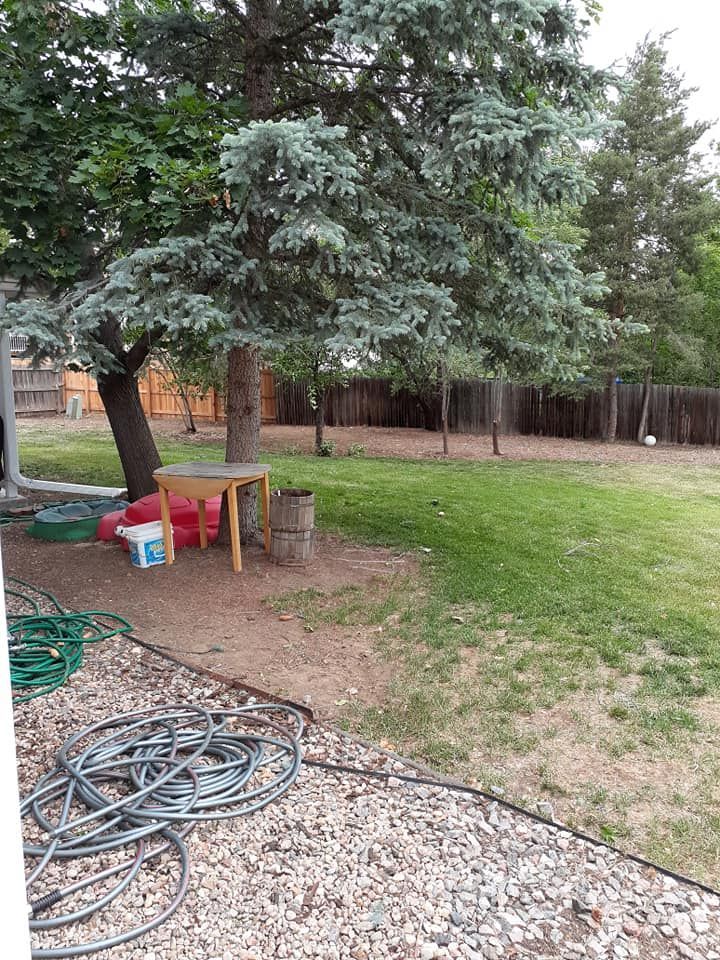 Property restoration and clean up