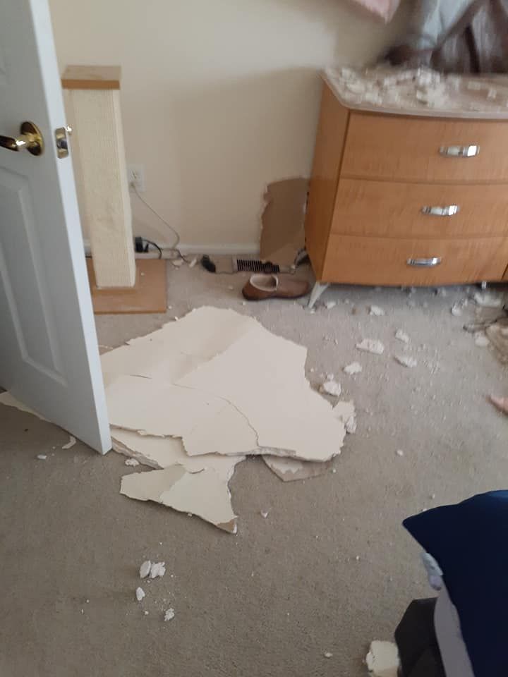 Property restoration and clean up