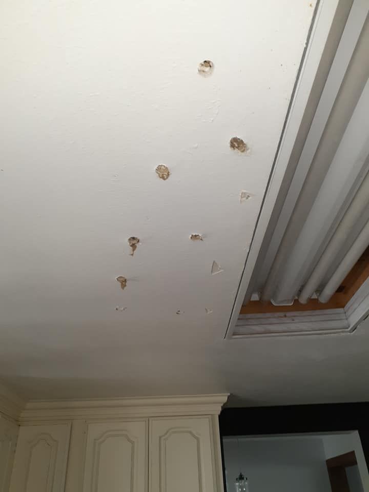 Property restoration and clean up