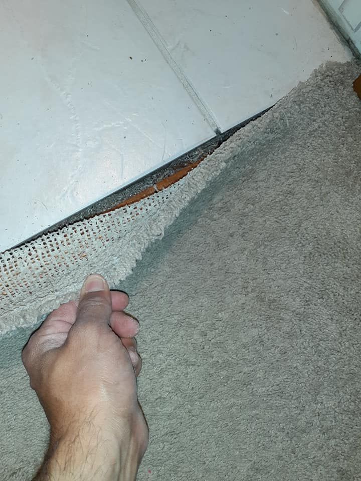 Property restoration and clean up