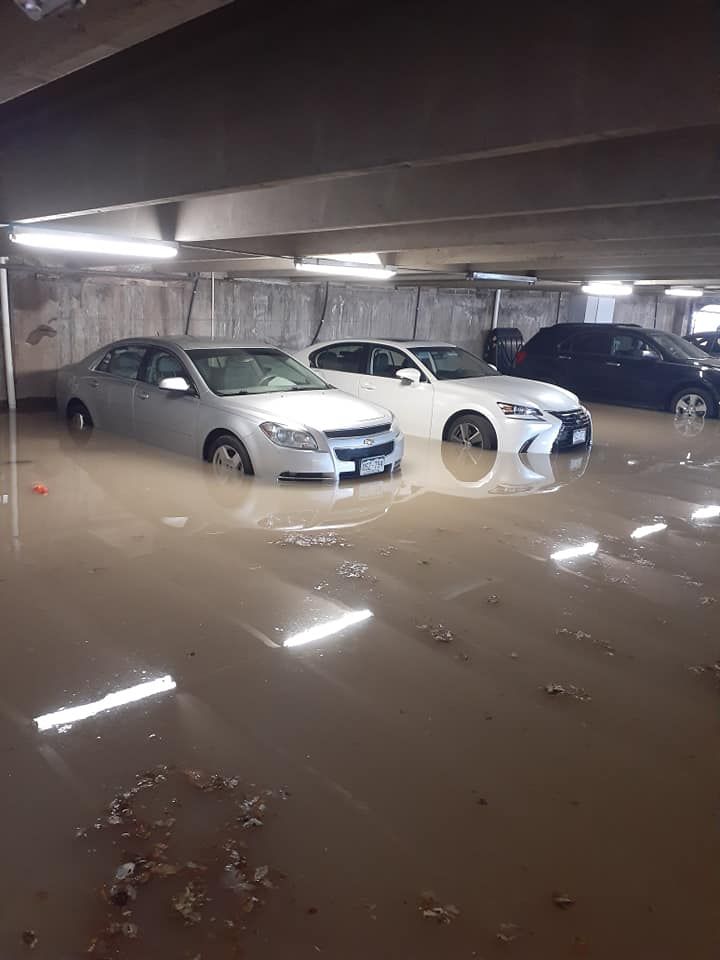 Property restoration and clean up