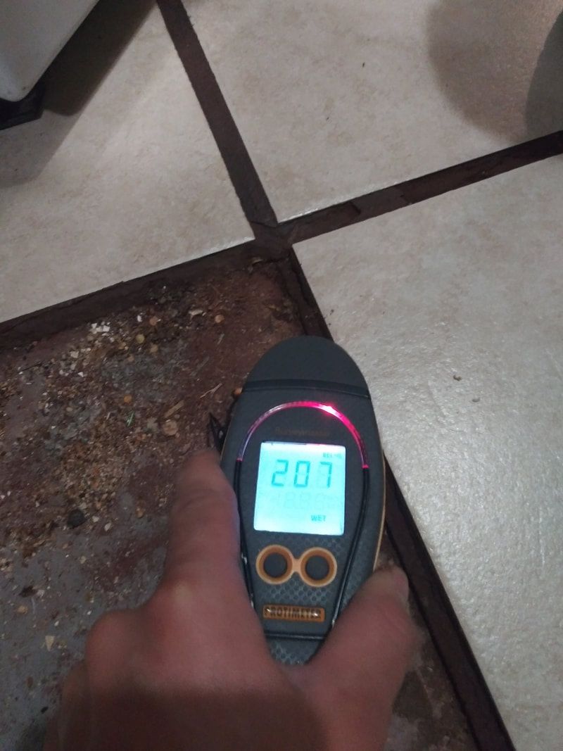 Restoration and clean up services