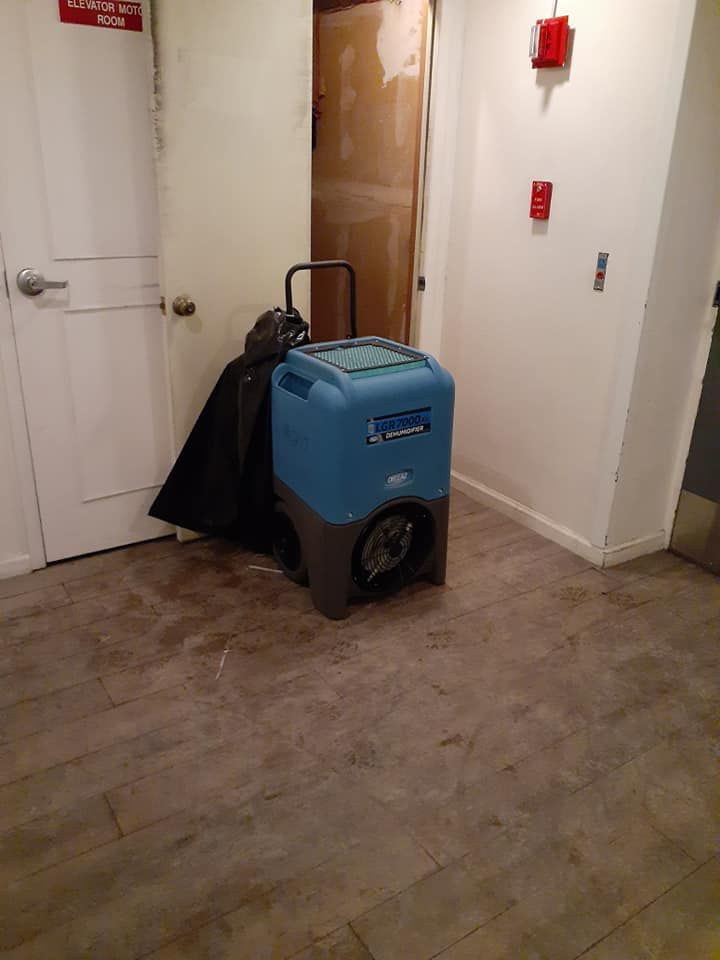 Property restoration and clean up