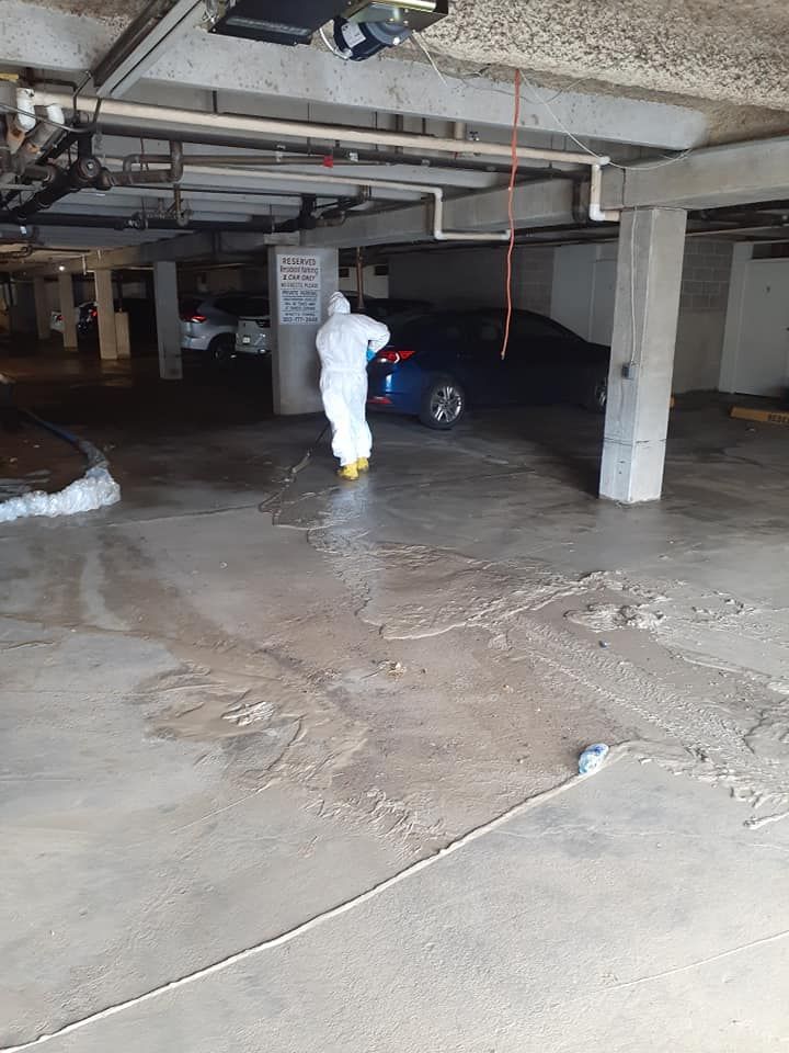 Property restoration and clean up