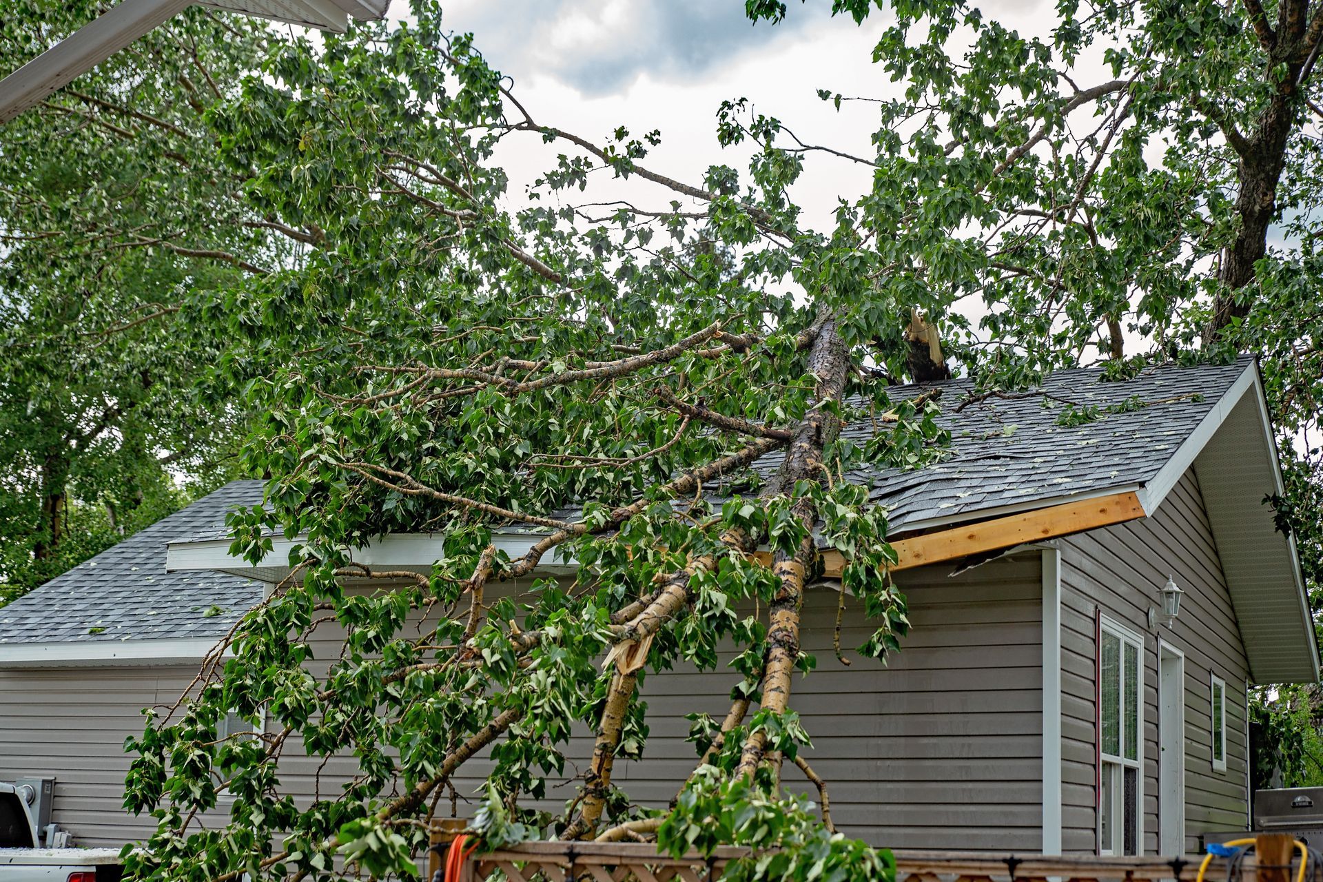 Tree fell onto a house from storm damage