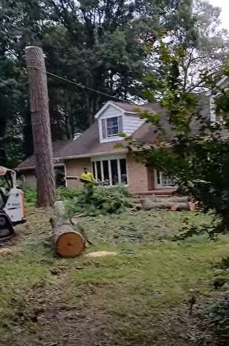 Man cutting a tree near a house with a Bobcat; logs on the ground.