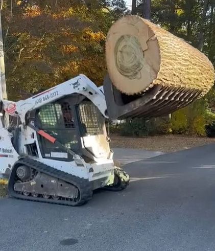 A Bobcat loader carrying a large tree trunk on a paved road. Sunny day.
