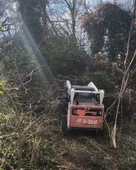 An orange Bobcat skid-steer clearing overgrown brush in a wooded area; sunlight streams through.