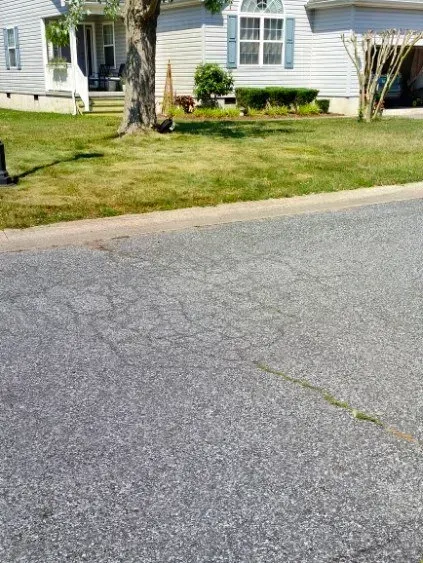 Asphalt road in front of a house with a green lawn and a tree.