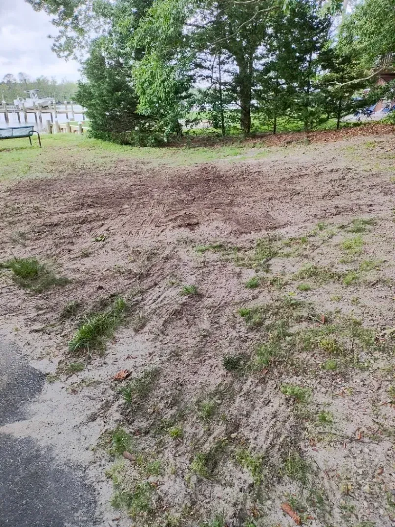 Brown dirt patch with sparse green grass, near trees and a paved area, possibly a yard.
