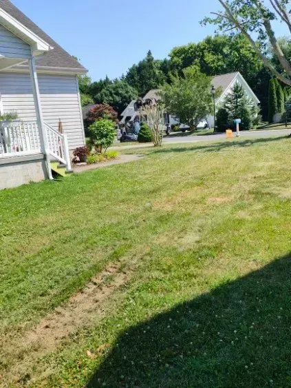 Grassy front yard with a house on the left, other houses in the distance, and blue sky.