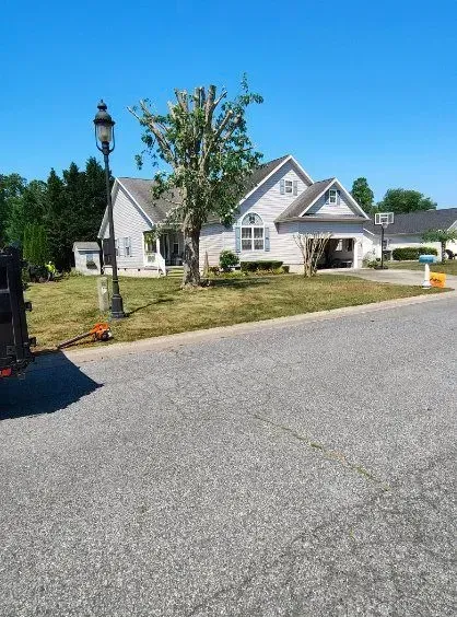 Suburban house with a trimmed tree, blue sky, and street in the foreground.